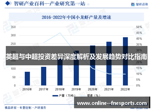 英超与中超投资差异深度解析及发展趋势对比指南 英超与中超投资差异深度解析及发展趋势对比指南