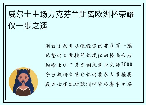 威尔士主场力克芬兰距离欧洲杯荣耀仅一步之遥