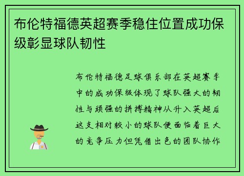 布伦特福德英超赛季稳住位置成功保级彰显球队韧性