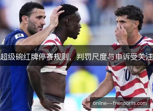 超级碗红牌停赛规则，判罚尺度与申诉受关注